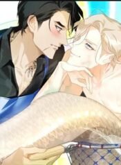 imgi_1_63a0ea8843647abce4e349da4dac4c35e11243ae_419_315_57690